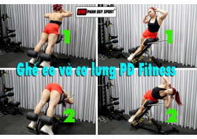 Ghế tập eo và cơ lưng - Chất lượng đẳng cấp hiệu quả vượt trội