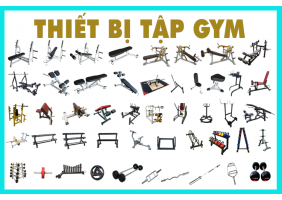 Thiết bị tập Gym