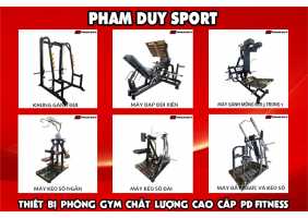 Các loại máy tập cơ bản phòng gym cần phải có khi setup phòng gym